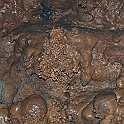 M 05